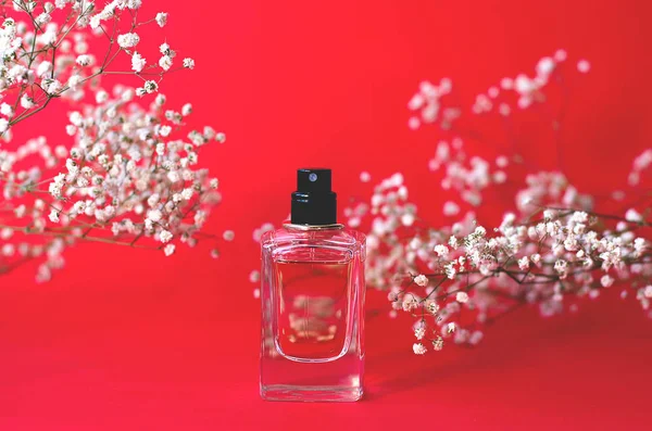 Een Pot Van Parfum Een Rode Achtergrond Met Veel Twijgen — Stockfoto