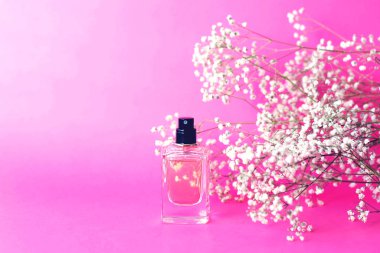 Parfüm pembe bir arka plan üzerinde bir kavanoz ile canlı gypsophila birçok twigs.