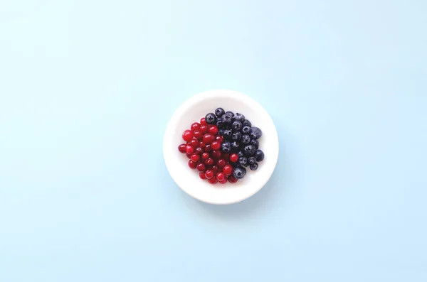 딸기과 블루베리와 크랜베리 파란색 배경에 — 스톡 사진