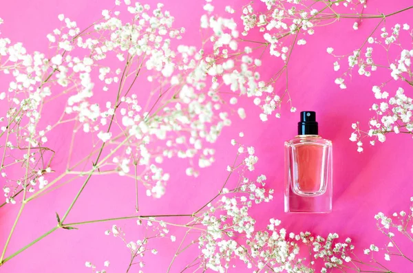 Słoik Perfumy Dla Kobiet Tle Różowy Białym Gałązką Gipsówek — Zdjęcie stockowe