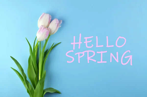 Wiosna-skład tulipany i napisy Przywitaj wiosnę. — Zdjęcie stockowe