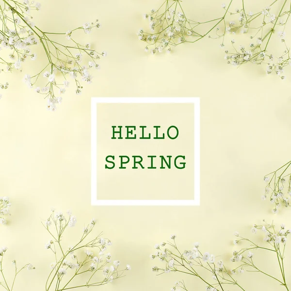 Square zdjęcie z gipsówki ramki i słowa Przywitaj wiosnę. — Zdjęcie stockowe