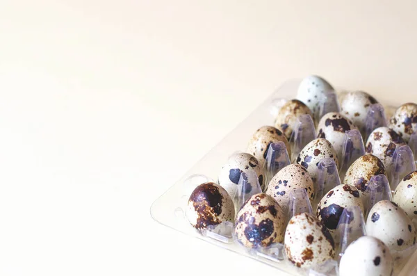 Quail eggs in plastic cells on a yellow background. — Stock Photo, Image