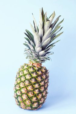 Ananas dilim mavi bir arka plan üzerinde yakın.