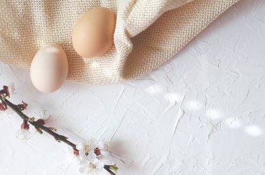 Kurt yumurta ve çiçekli ağaç dalları Paskalya kompozisyon.