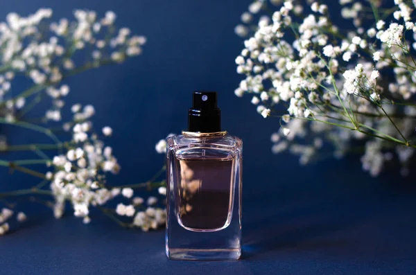 Słoik perfum na czarnym tle z Gypsophila. — Zdjęcie stockowe