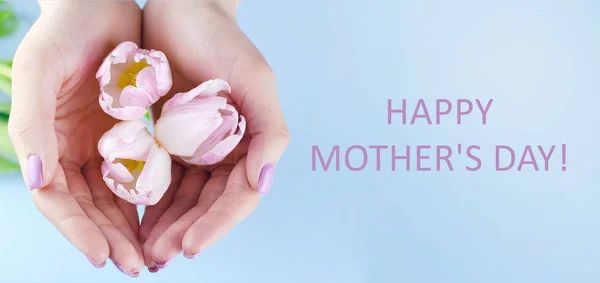 Banner mit Tulpen in der Hand zum Frauentag. — Stockfoto