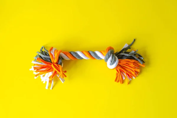 Rope for a pet on a yellow background. — Stock Photo, Image