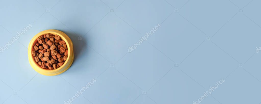 Banner for the site with a yellow bowl of pet food on a blue background. There is a place for text and logo.