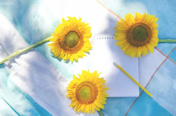 Sunflowers with notepad and pencil on the lawn with grass.