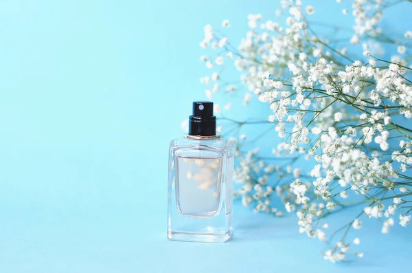 Un frasco de perfume sobre fondo azul con gypsophila . — Foto de Stock