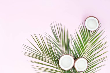Hindistan cevizi ve palmiye dalları ile güzel açık pembe arka plan.