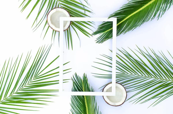 Tropical light background with frame, coconuts and palm branches.
