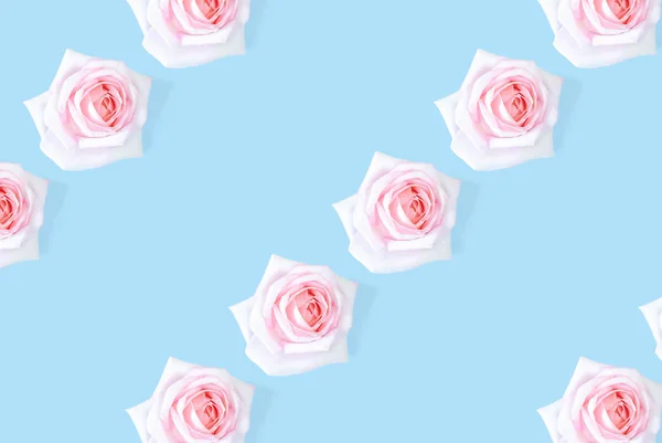 Floral pattern with a pink rose on a blue background. — Stock Photo, Image