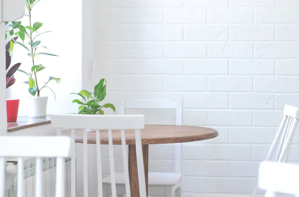 Camera luminosa e accogliente con tavolo, sedie e piante da interno . — Foto Stock
