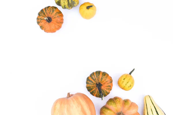 Autumn flat lay on an isolated white background made of pumpkins. — Stock Photo, Image