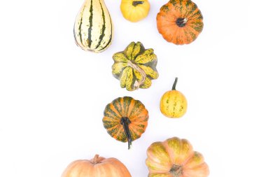 Sonbahar düz kabak yapılmış izole beyaz bir arka plan üzerinde yatıyordu. 