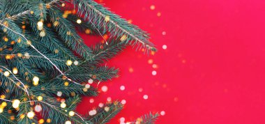 Noel ağacının tomurcukları, çelengi ve kırmızı arka planda ışıkları. 