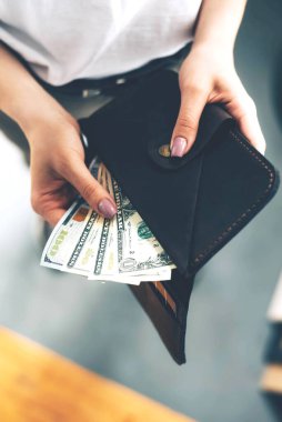 Kadın ellerinde dolar banknotları olan cüzdan. Bütçe. Ekonomik kriz.