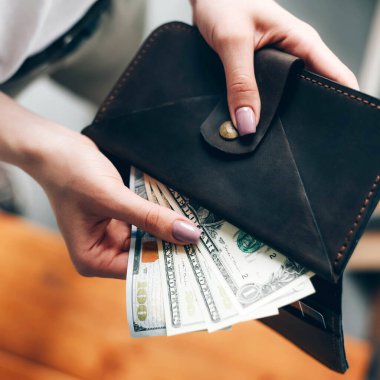 Kadın ellerinde dolar banknotları olan cüzdan. Bütçe. Ekonomik kriz.