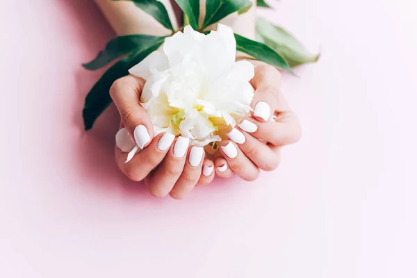 stock image Female hands with white manicure hold a peony. Beauty saloon. Manicurist.