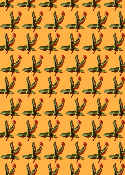 Pattern of live tulips on an orange background. Trending floral pattern.