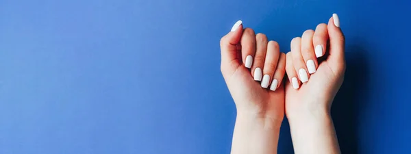 Banner with female hands and a white manicure on a blue background. There is a place for text.