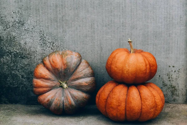 Grandes Calabazas Hermosas Cerca Del Fondo Gris Concreto Símbolo Calabaza —  Fotos de Stock