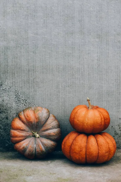 Calabazas Anaranjadas Grandes Cerca Del Fondo Gris Concreto Símbolo Calabaza —  Fotos de Stock