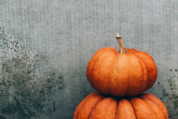 Grandes Calabazas Hermosas Cerca Del Fondo Gris Concreto Símbolo Calabaza —  Fotos de Stock