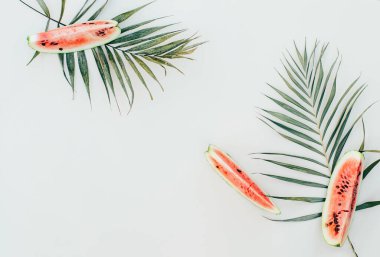 Açık bej arka planda taze karpuz parçaları. Metin veya logo için güzel bir pankart.