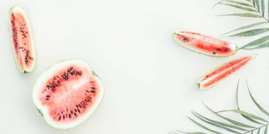 Site için sulu karpuzlar ve palmiye dallarıyla pankart. Tropikal tarzda. Metne yer var..