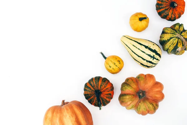 Otoño Plano Yacía Sobre Fondo Blanco Aislado Hecho Calabazas Cosecha —  Fotos de Stock