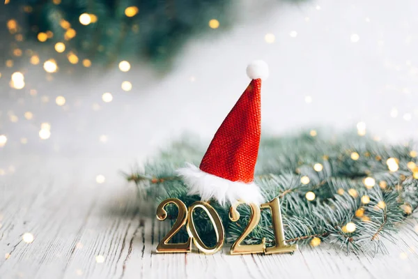 2021年新年 头戴圣诞礼帽 头戴圣诞枝条 新年背景 免版税图库照片