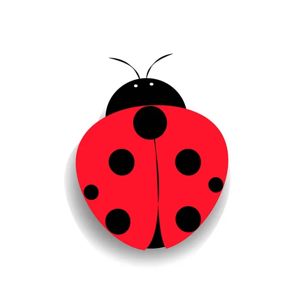 Uğur böceği simgesi düz tasarım. Vektör çizim. Beyaz arka plan üzerinde izole kırmızı uğur böceği — Stok Vektör