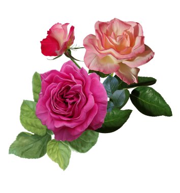 Çiçekler bahçe buketi renkleri tasarımı 