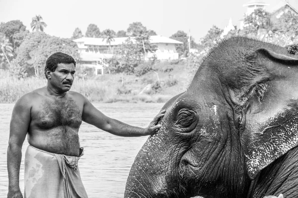 Kodanad, Kerala, Hindistan 25 Aralık 2015 - fil yıkama
