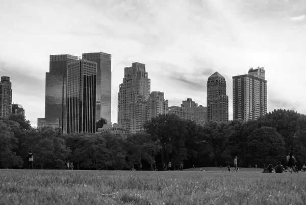 Wolkenkratzer Vom Central Park — Stockfoto