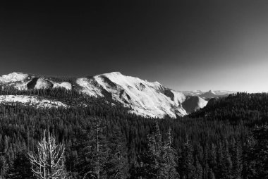 Yosemite, Kaliforniya dağlarında doğru orman genelinde arıyorsunuz
