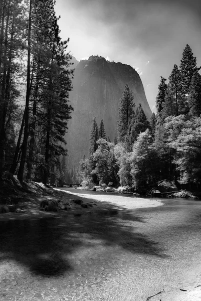 Licht Fällt Durch Die Bäume Auf Den Fluss Yosemite — Stockfoto