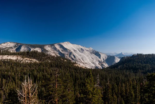 Blick Über Den Wald Auf Die Berge Kalifornischen Yosemite — Stockfoto