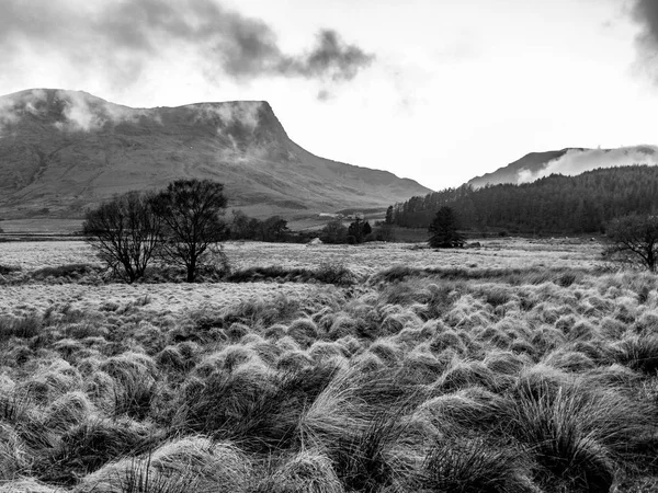Moody Galler kırsal çok dramatik olabilir