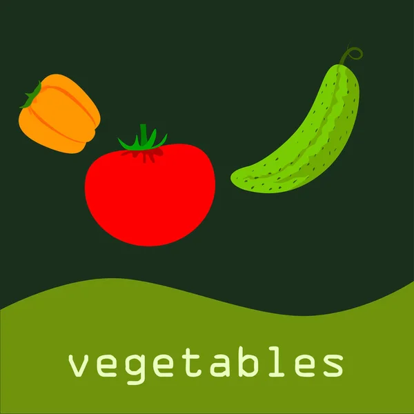 Tomato Pepper Cucumber Vector Illustration — Stock Vector