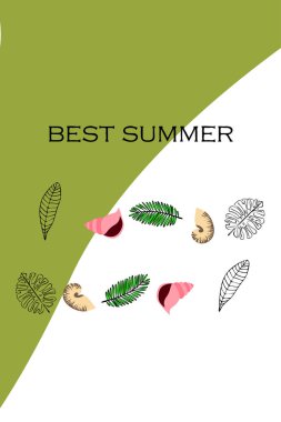 Yaz istirahati. Denizyıldızı, deniz kabuğu, tropik bitkilerin yaprakları. Vektör arka planı