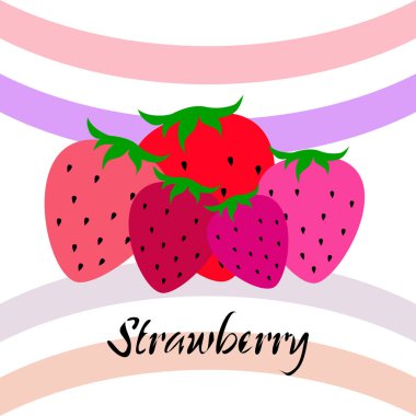 Yazı ile çilek İllüstrasyon, vektör 