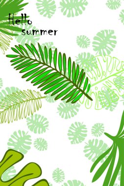 Tropik bitkilerin yaprakları. Renkli yaz kartpostalı, yaz tatili. Vektör arka planı.