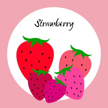 Yazı ile çilek İllüstrasyon, vektör 