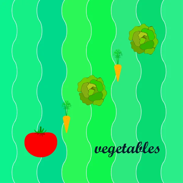 Illustration Simple Différents Légumes Avec Lettrage Vecteur — Image vectorielle