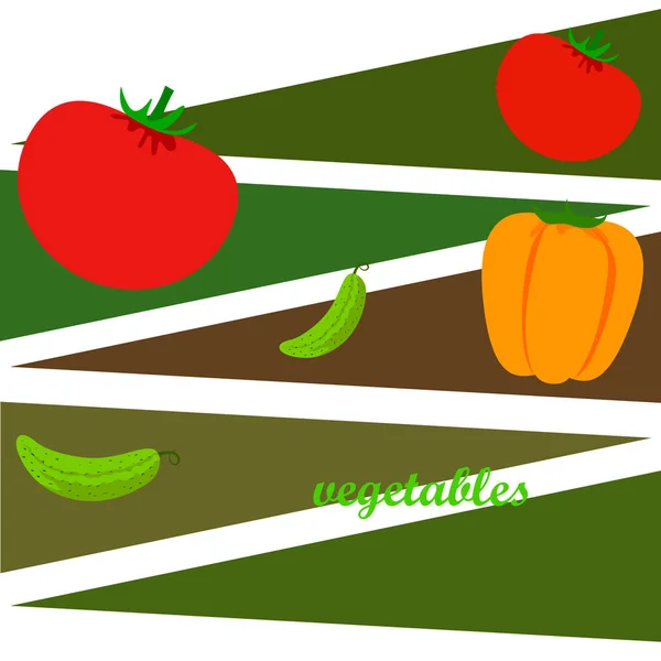 Ilustración Simple Verduras Con Letras — Vector de stock