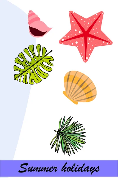 Sommerpause Seesterne Muscheln Blätter Tropischer Pflanzen Vektorhintergrund — Stockvektor